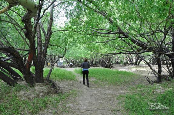 Aravessando o oásis verde no fundo do canyon a caminho da Cueva de Las Manos, no sul da patagônia, na Argentina